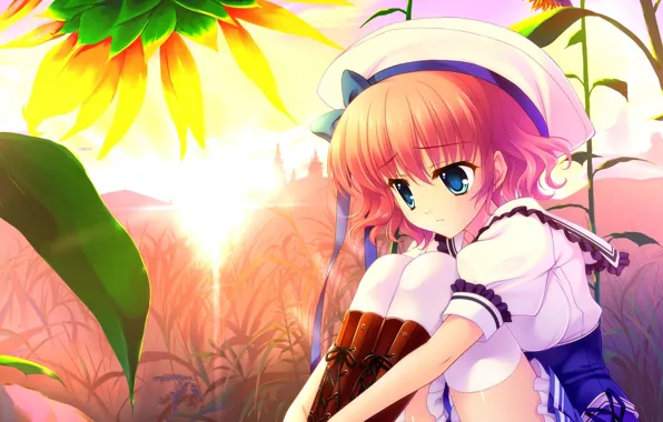 Summer, sunflower, anime, art, girl, sunflower, sailor