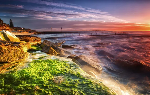 Picture sea, algae, sunset, stones, shore