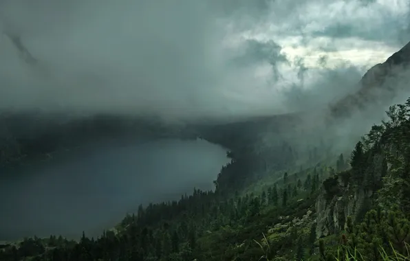 Forest, clouds, fog, lake, hills