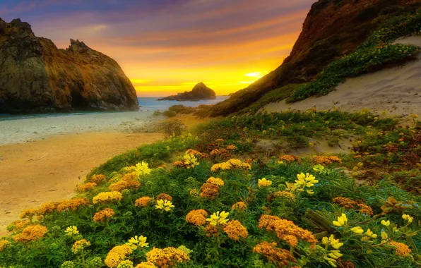 Picture sea, the sky, sunset, flowers, rocks, shore, CA