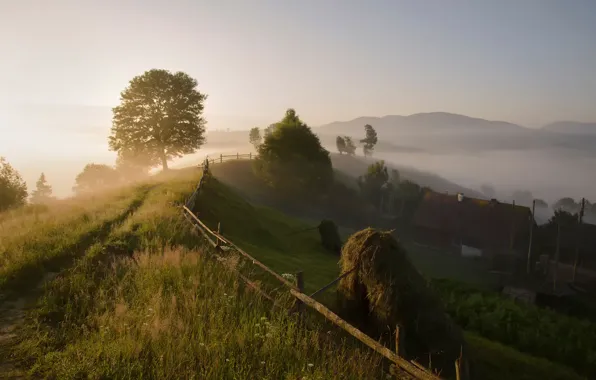 Summer, fog, morning, village, Carpathians