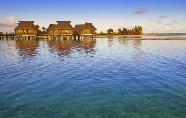 Tropics, palm trees, the ocean, the hotel, Laguna, Bungalow