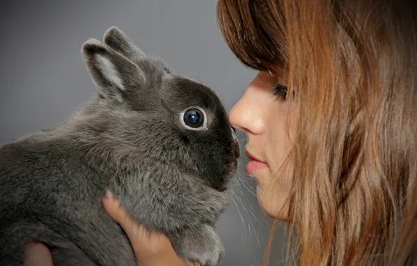 Picture mood, rabbit, girl