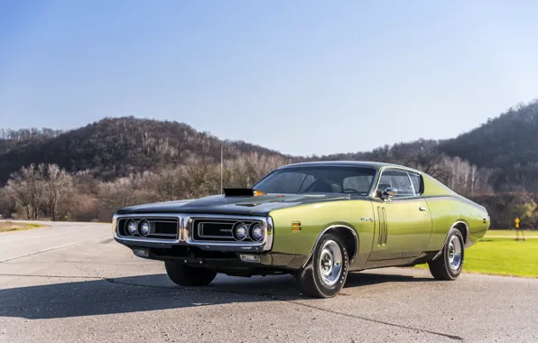 Coupe, Dodge, charger, Oldsmobile