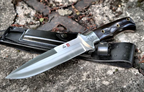 Blade, knife, the handle, sheath