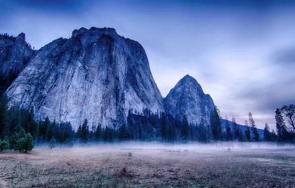 Picture trees, mountains, fog, rocks, CA, USA