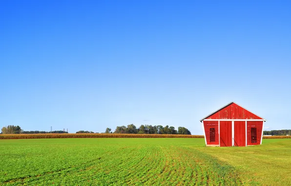 The sky, red, Field, the barn