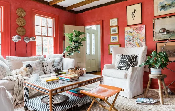 Design, style, interior, plants, pictures, bright room, upholstered furniture, cozy living room