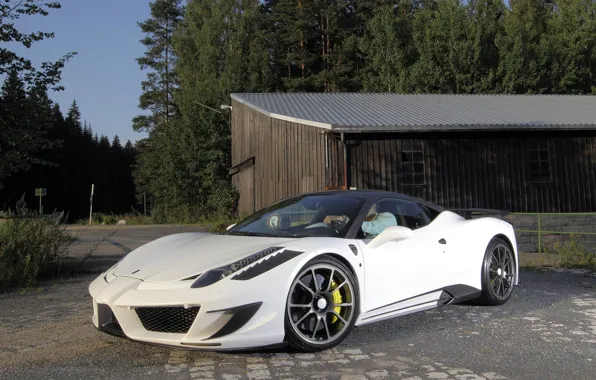 Picture road, forest, white, tuning, the building, the fence, white, ferrari