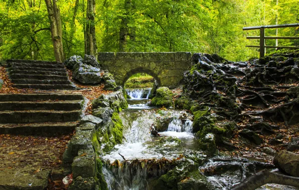 Nature, Bridge, Trees, River, Forest, Stones, Stream, Moss