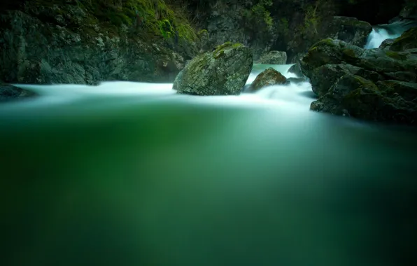 Forest, nature, river, stones, waterfall