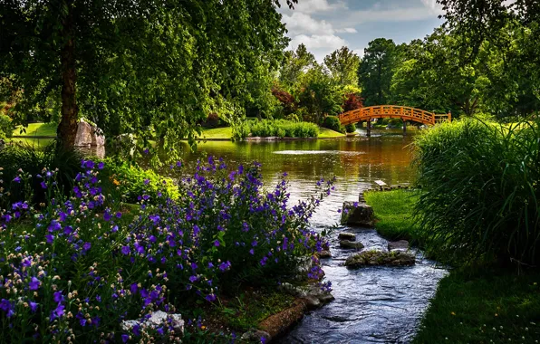 Greens, grass, the sun, trees, flowers, bridge, pond, Park