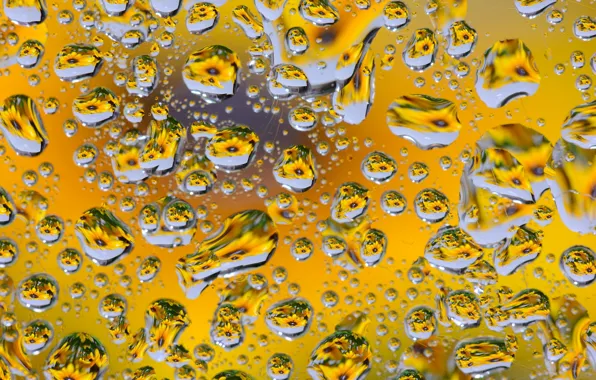 Picture glass, water, drops, color, the volume