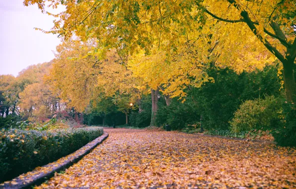 Picture New York City, autumn, The Cloisters, Fort Tryon Park