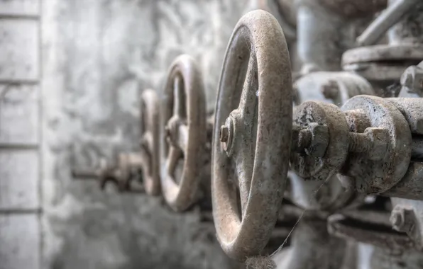 Macro, background, valves