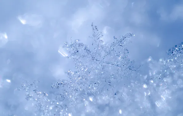 Winter, macro, snow, nature, snowflake, bokeh, ice crystals