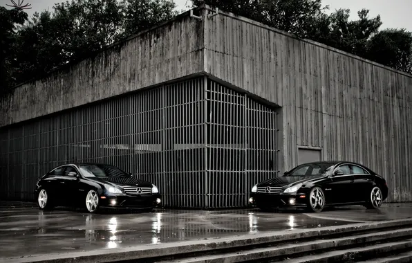 Drives, Mercedes, two, mercedes benz, tuning, cls
