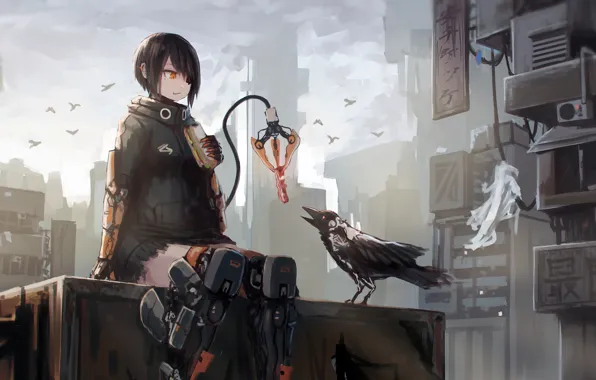 Picture city, future, girl, fantasy, robot, android, bird, crow