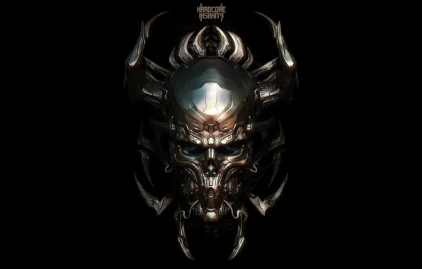 Picture style, music, skull, horns, hardcore, metal, hardcore insanity