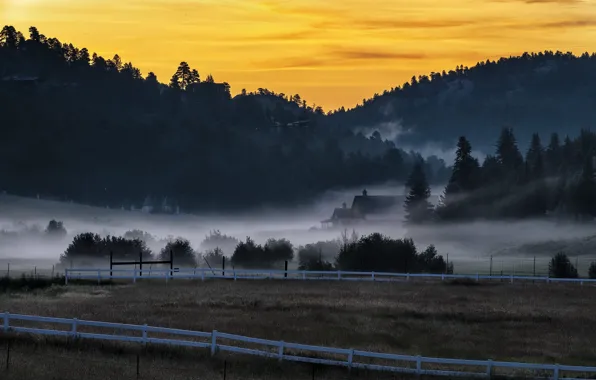 Picture nature, fog, Colorado, Morning After