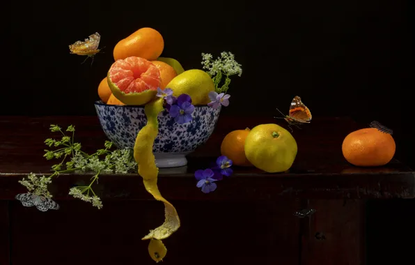 Butterfly, fruit, black background, still life, peel, tangerines
