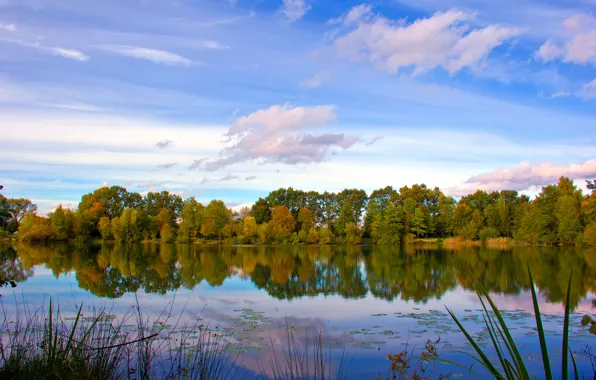 Picture autumn, the sky, clouds, trees, lake, river