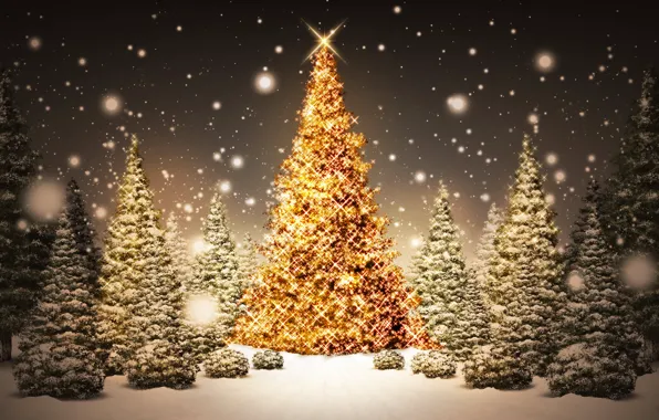 Decoration, lights, tree, new year