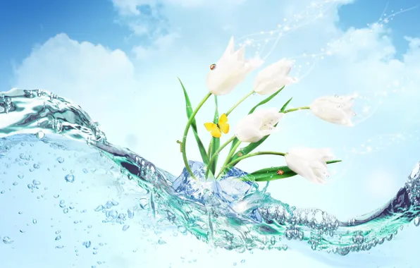 Ice, water, flowers, butterfly