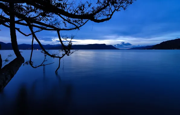 Picture the sky, clouds, mountains, lake, tree, Indonesia, Sumatra, Toba