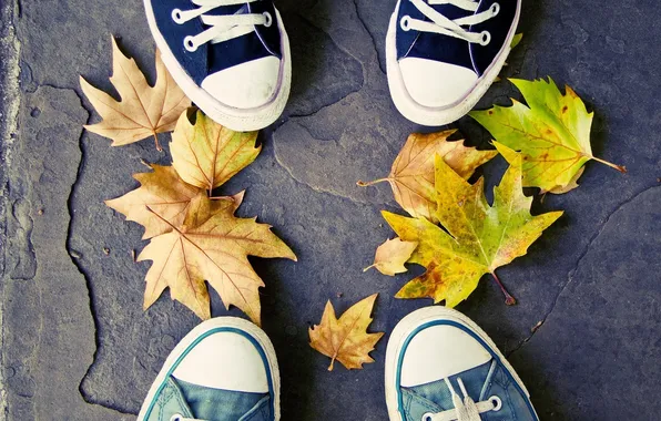 Background, Wallpaper, mood, foliage, shoes, sneakers, yellow, leaves.Yu setochki