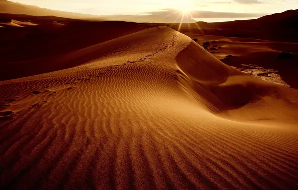 Picture sand, the sky, the sun, landscape, the dunes, desert, dunes
