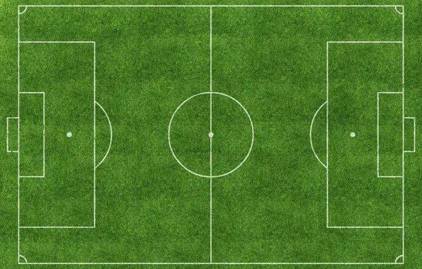 Colors, grass, lines, soccer field