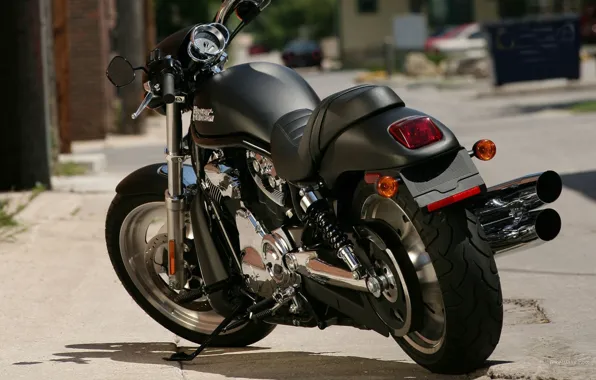 Road, motorcycle, Harley-Davidson