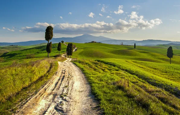 Road, hills, Italy, Tuscany, rural landscape