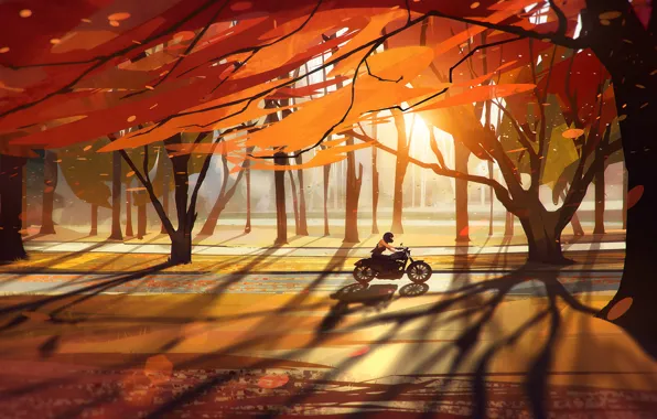 Road, autumn, forest, leaves, girl, trees, motorcycle, bike