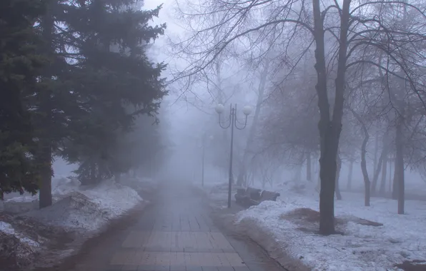 Snow, trees, fog, spring, morning, Russia, Samara, Stan