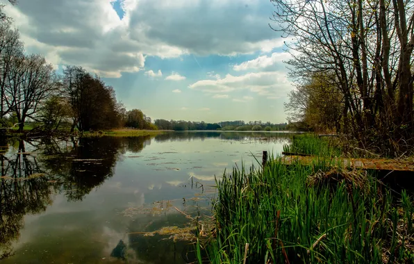 Autumn, forest, lake, calm