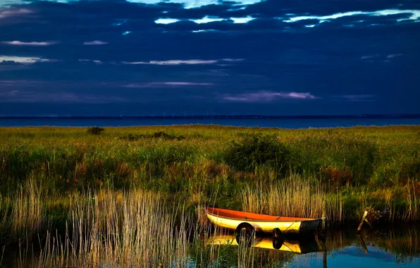 Picture grass, river, the reeds, shore, boat, the evening