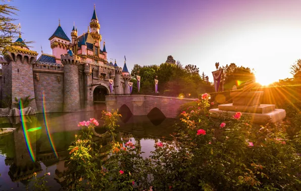 Sunset, castle, roses, Disneyland, Disneyland