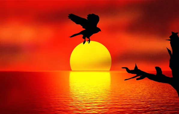 Picture sunset, reflection, bird, Holding the SUN