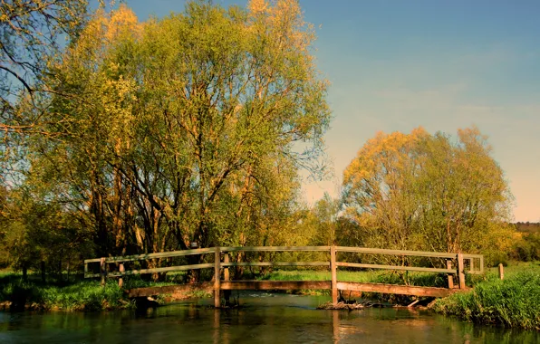 Picture pond, Autumn, the bridge, bridge, autumn, pond, fall