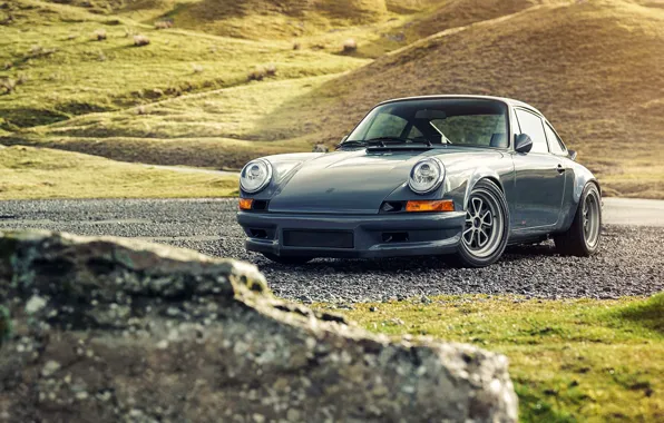 911, Porsche, Nature, Porsche 911, Grey, Road, Series 2, Sportcar