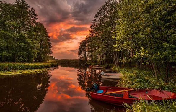 Forest, river, photo, boat