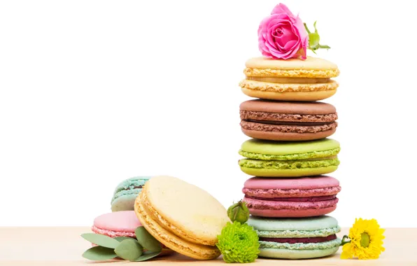 Picture roses, cookies, colorful, macaroon, liska5