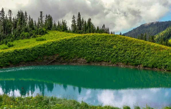 Grass, trees, mountains, lake, Canada, British Columbia, Chilliwack, Spoon Lake