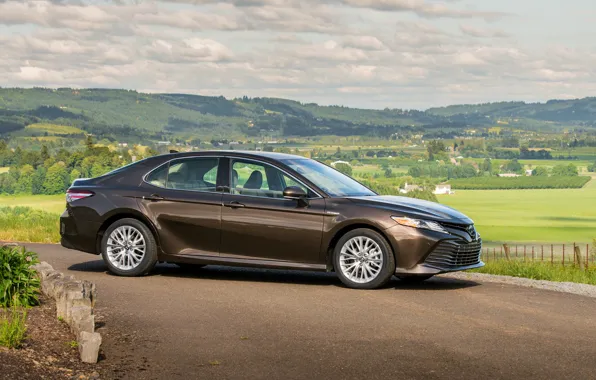 Road, Toyota, sedan, 2018, Camry, XLE Hybrid