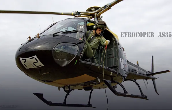 Picture aviation, sport, different