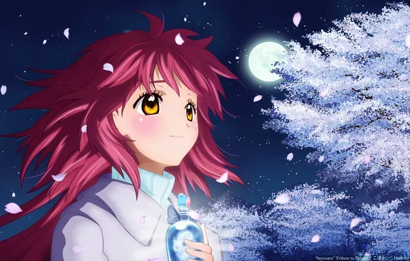 Picture girl, night, the moon, anime, Sakura, kobato.
