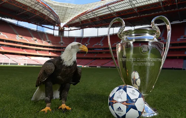 The ball, Sport, Football, Adidas, Adidas, Ball, Football, Stadium