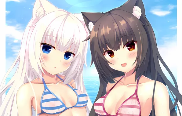 Sexy, cleavage, beach, long hair, sea, girls, boobs, animal ears